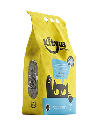 Activated Carbon