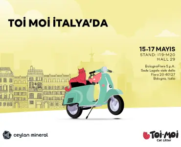Toi Moi İtalya'da!